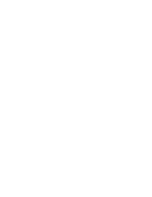 Paws on the Road