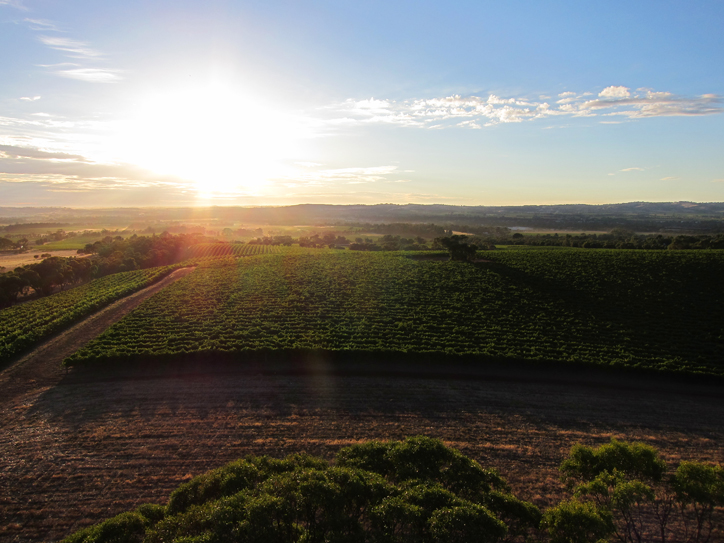 And the award for most spectacular sunrise goes to... BAROSSA VALLEY!