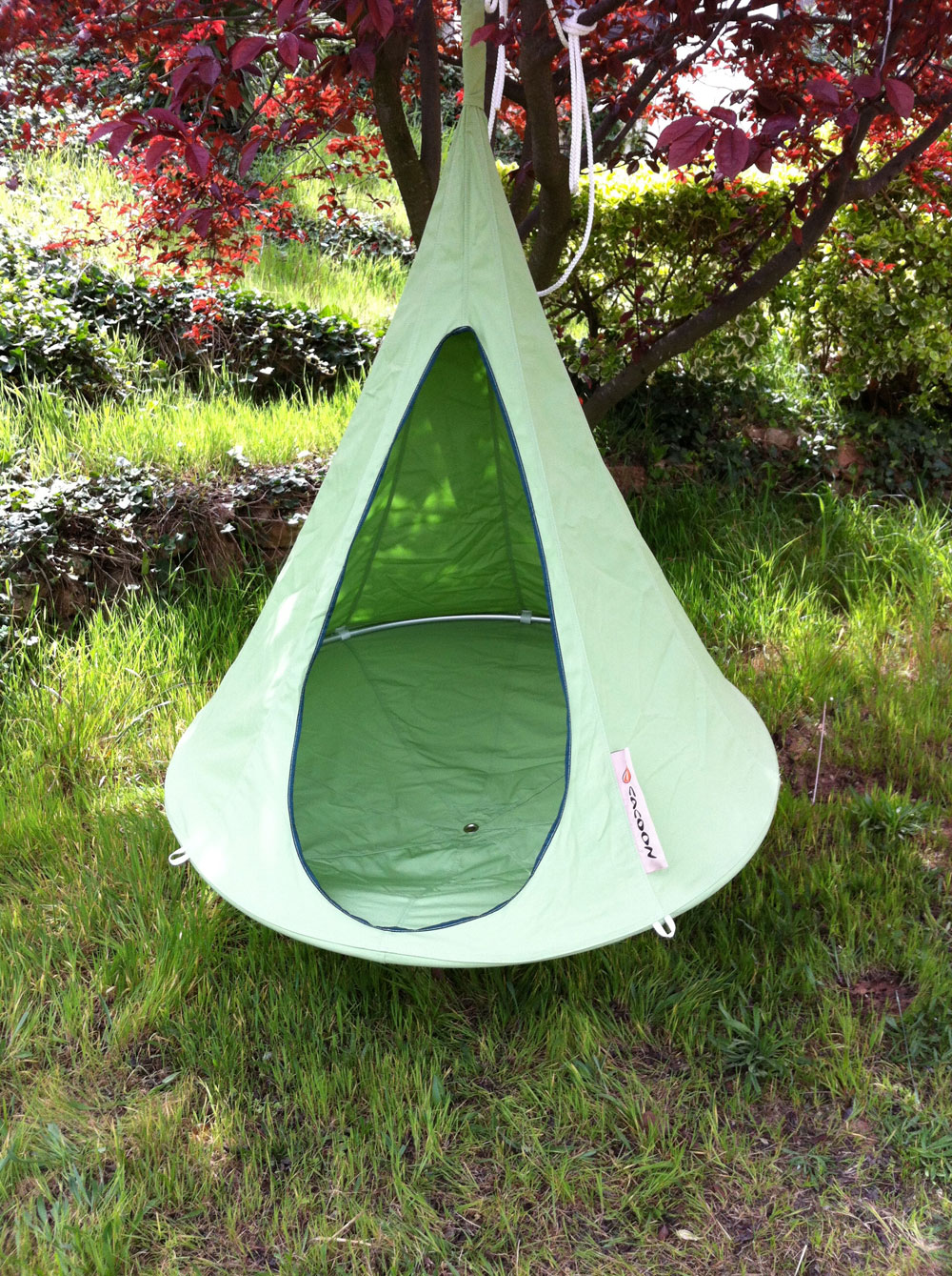 In all it's soft green glory.