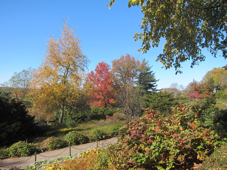 Just another beautiful fall day