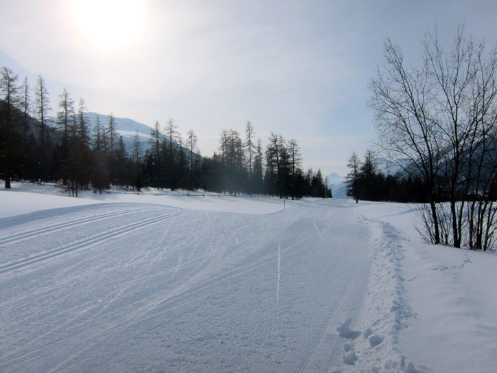 Of course we didn't walk ON the cross country slope. This is Switzerland after all...