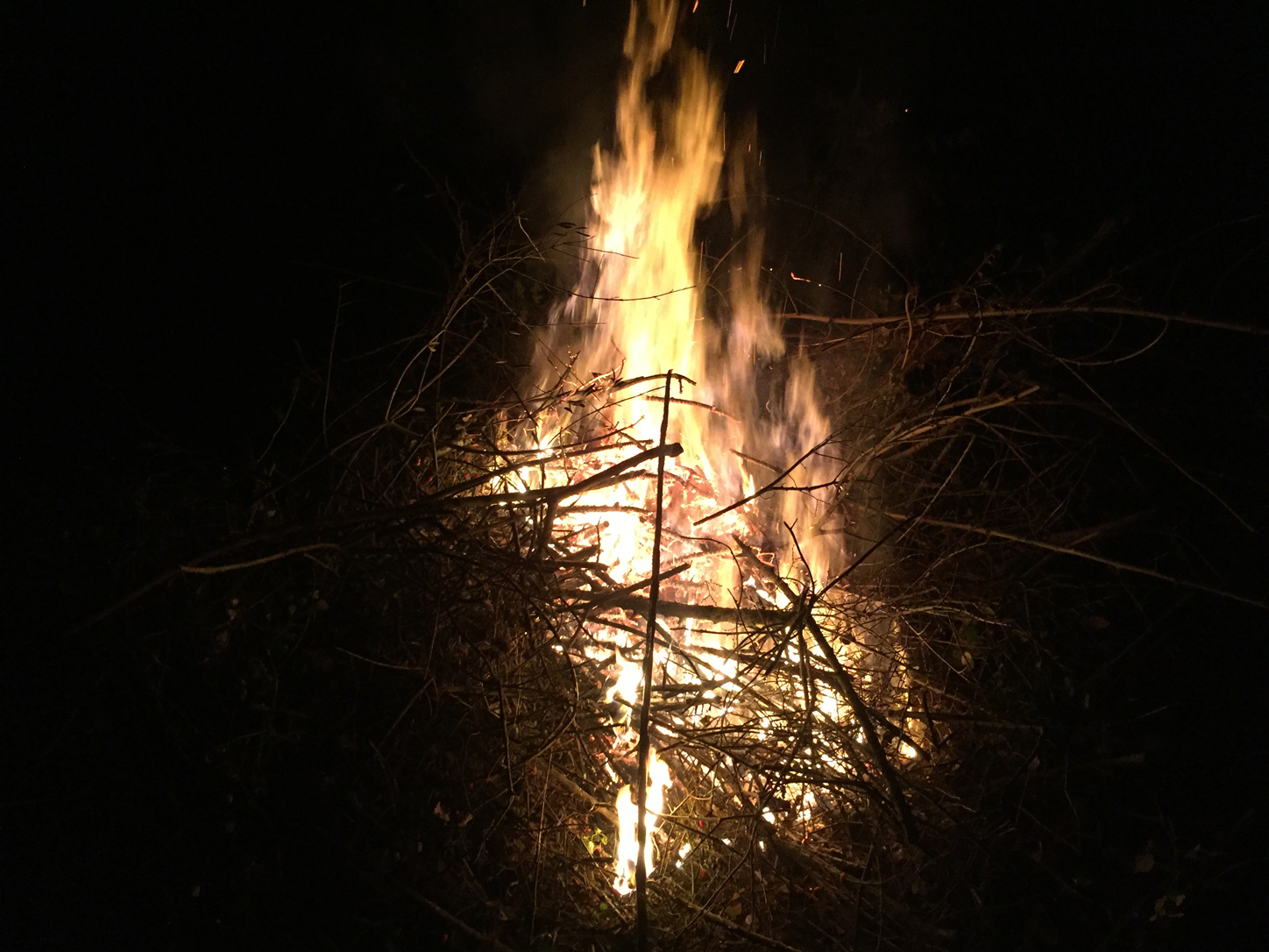 Burn away the old and light the way for the new.