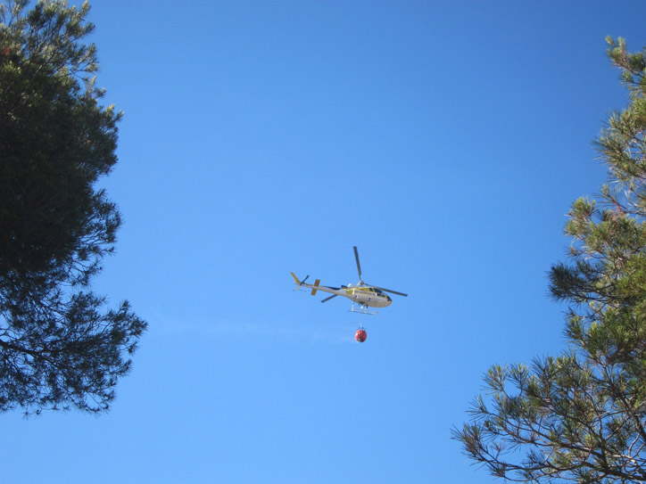 They used choppers and a plane to douse the flames.