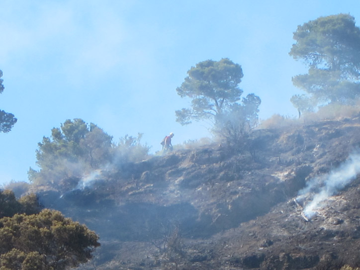 Of course they also had fire fighters on the ground.