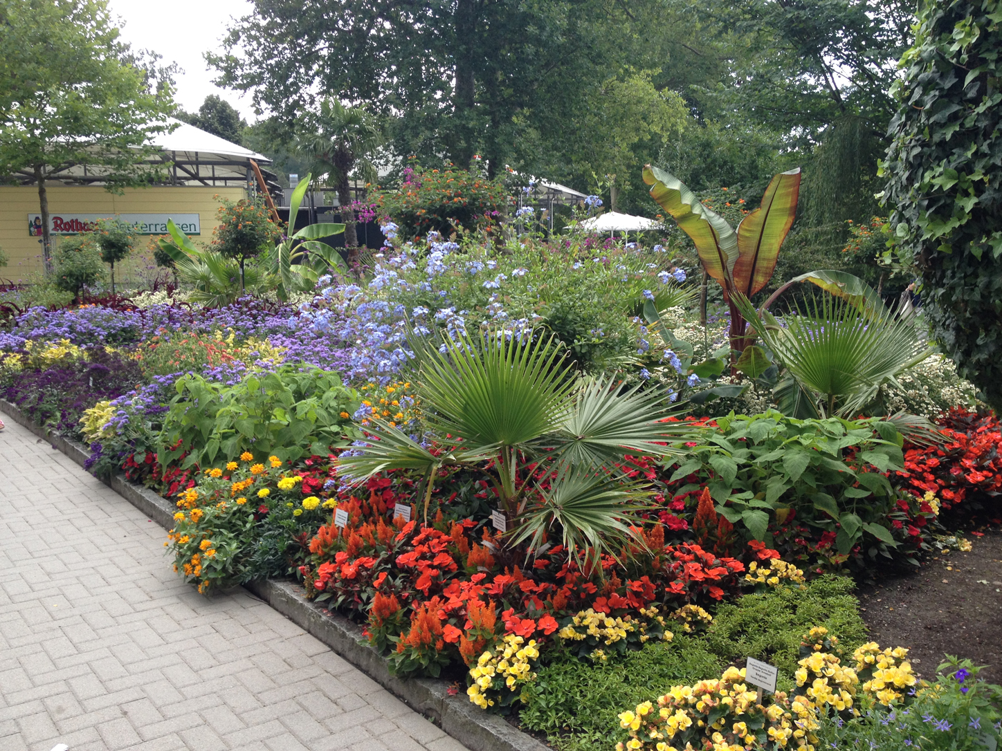 Lots and lots of flowers everywhere.