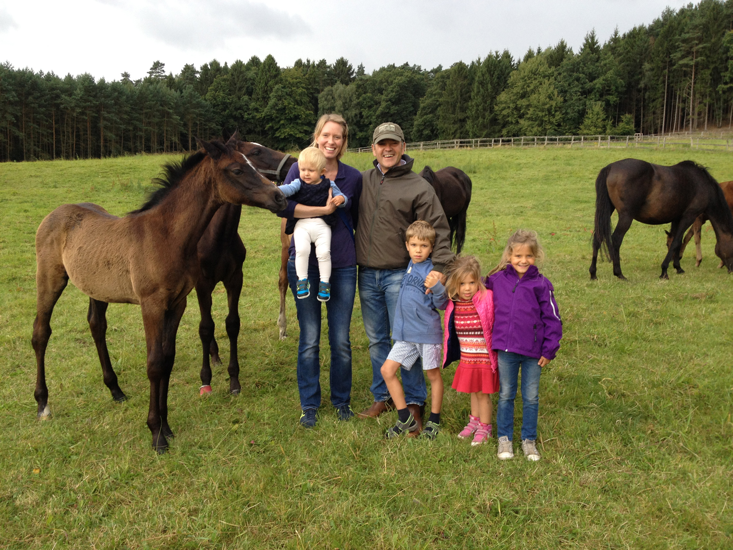 BABY HORSES!!!