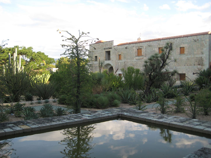 Botanical garden and ex-convento Santo Domingo Botanical garden and ex-convento Santo Domingo
