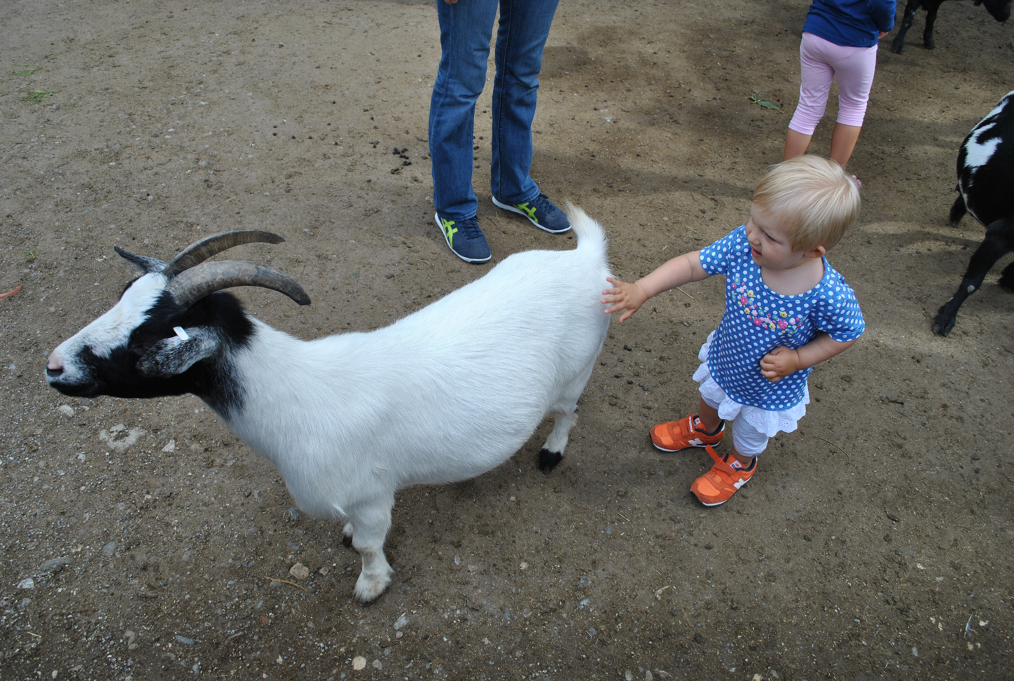 Look I can touch it!
