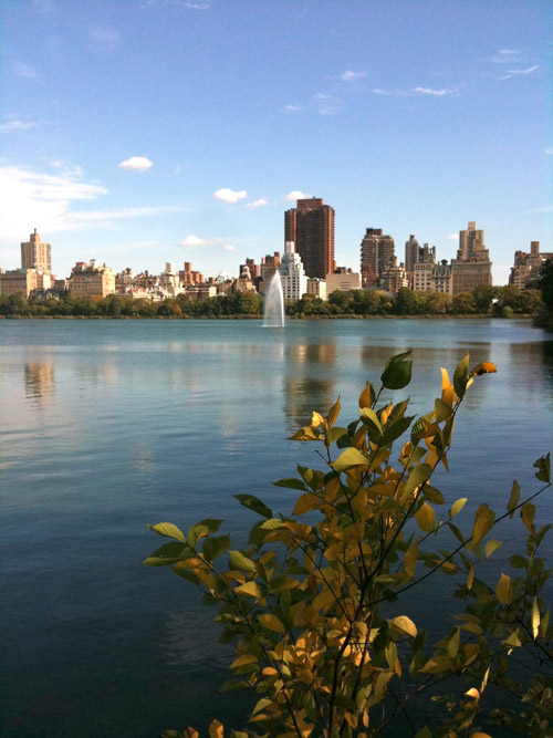Oh, and did I mention autumn here is GORGEOUS?!
