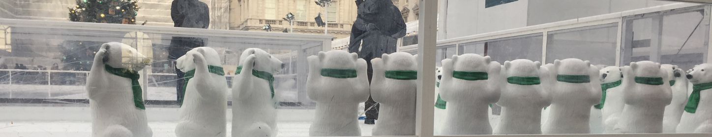 I really wanted to go ice-skating with these polar bears but sadly the authorities had other ideas.