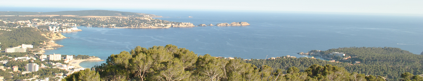 Peguera at its prettiest, i.e. from a slight distance.