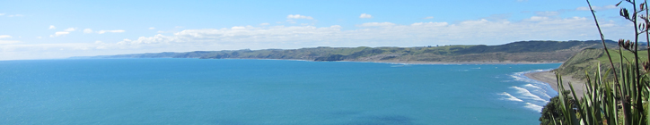 View from our studio this weekend