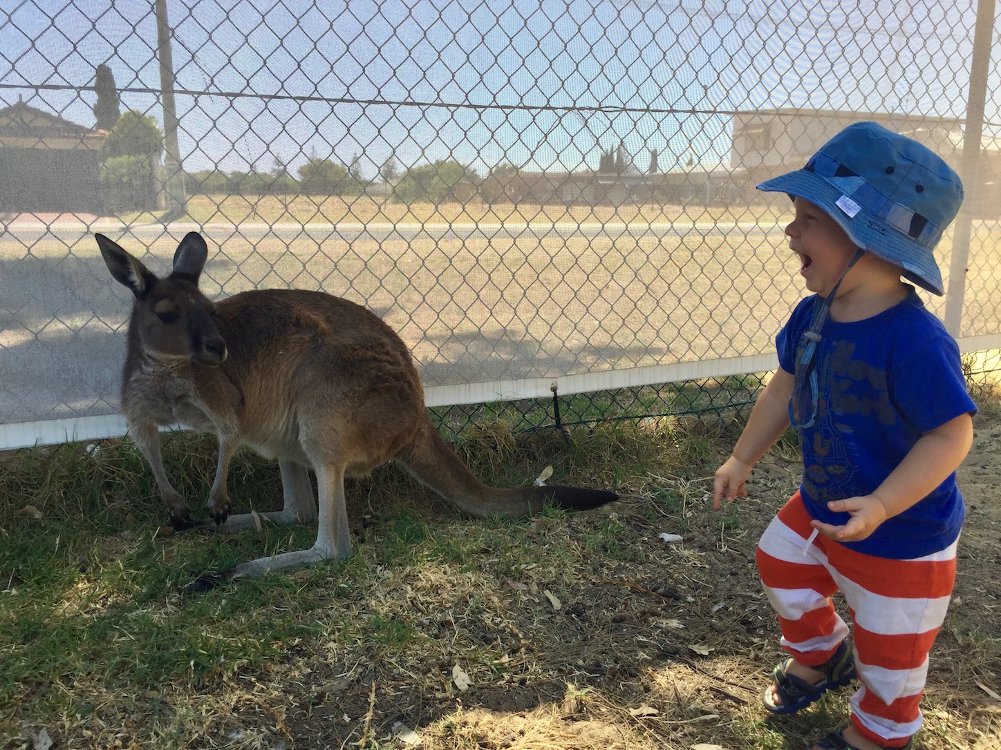 The delight wasn't mutual, I'm afraid.
