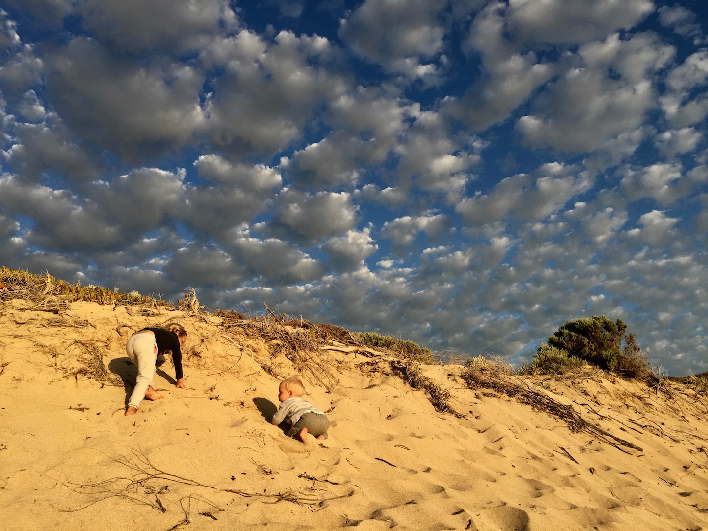 We brought about two buckets of sand home in our underwear. Catering was so happy she almost cried. It was awesome.
