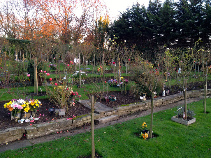 One section of the cemetery is a rose garden; each rose bush is a grave. Very beautiful.