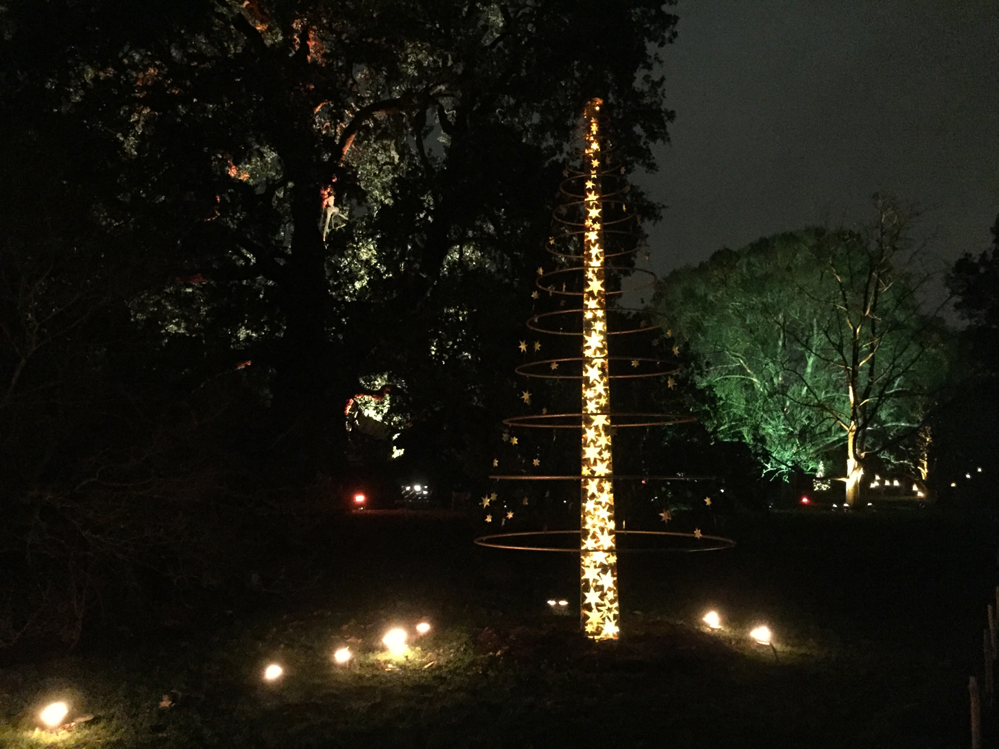 The lights were so beautiful!