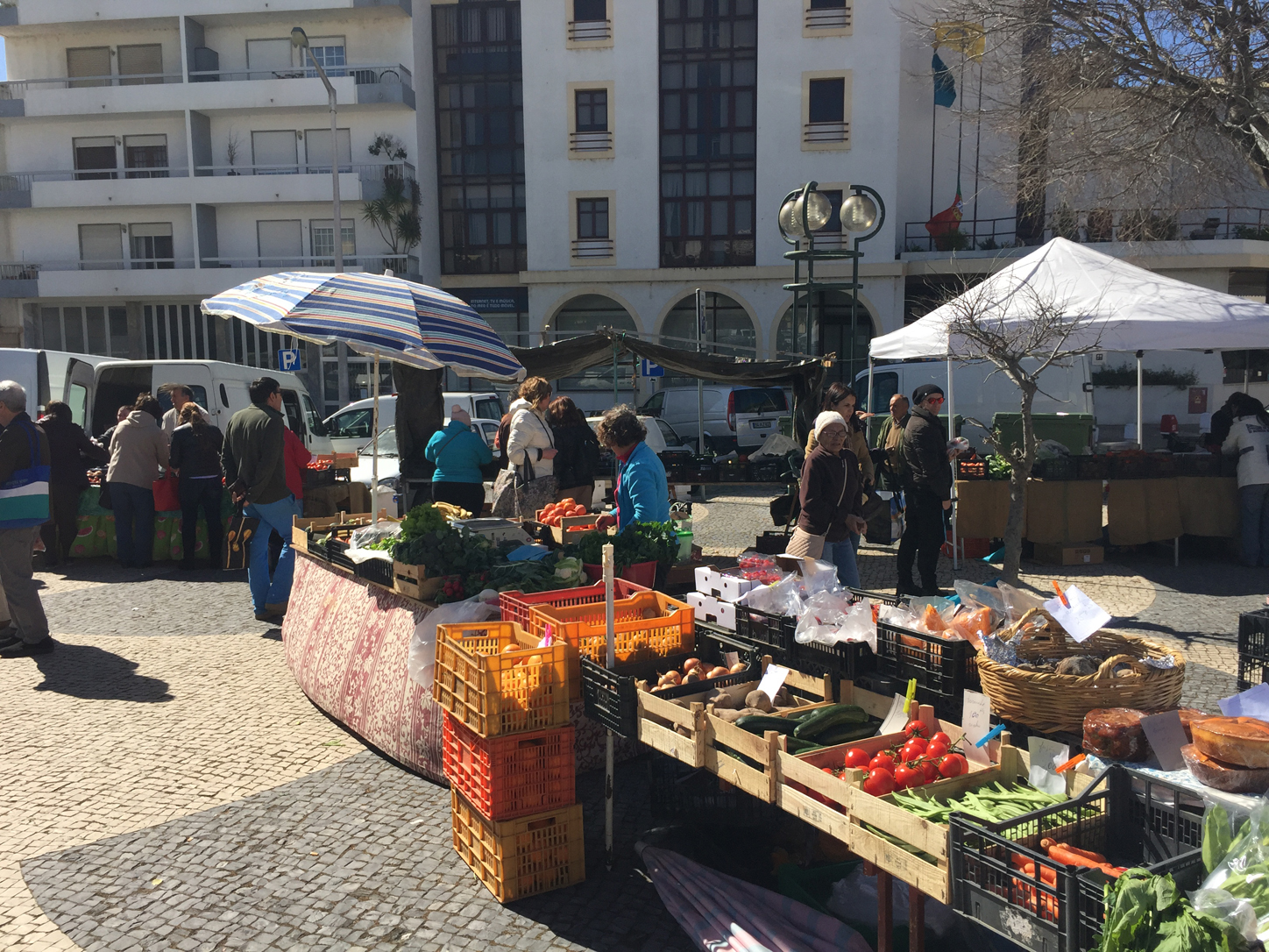 Our first Portuguese encounters didn't go well, couldn't understand a blind thing any of the farmers were saying... But not much conversation needed when you're buying eggs and veggies.