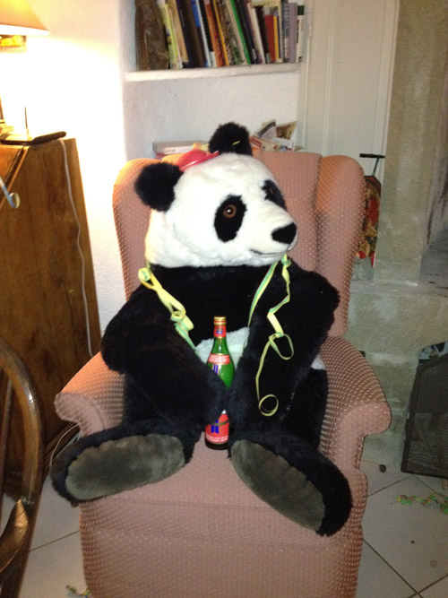 Molly was unfortunately injured later in the evening and left the party in a huff.