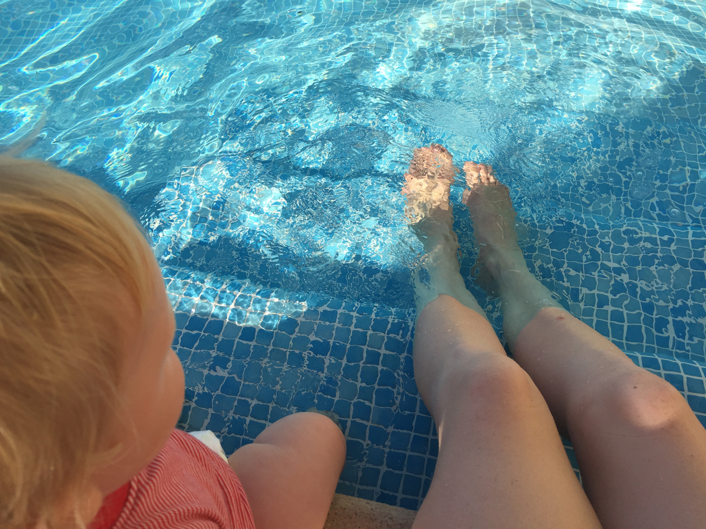 When it was really hot these days we went to dip our feet into the pool early in the morning after our walk. That was lovely. Sometimes seagulls would join us for a quick drink. I really like seagulls, they're everywhere here. I'm trying to imitate their noise but it's hard.