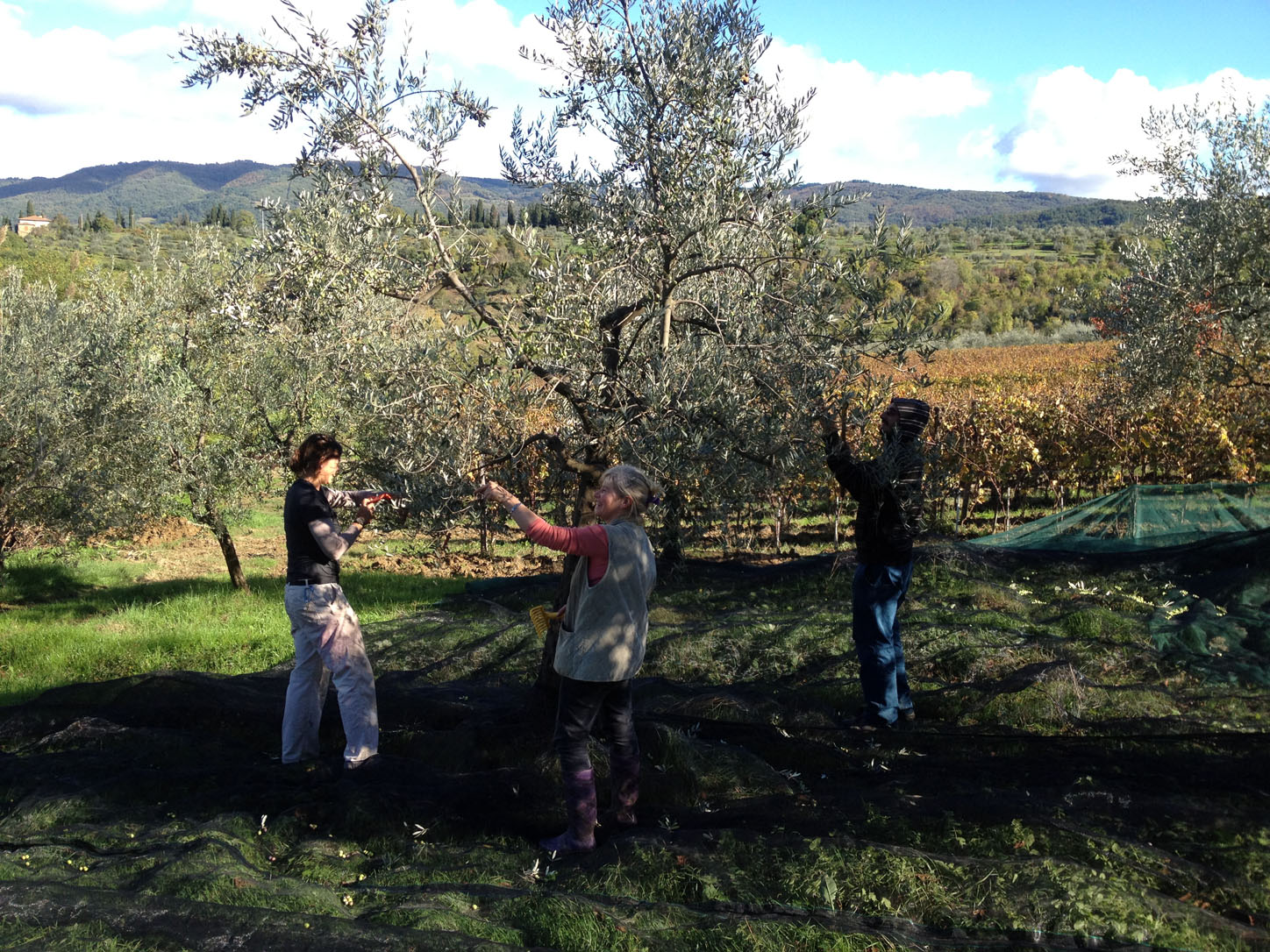 The hand combing crew does the finishing touches.