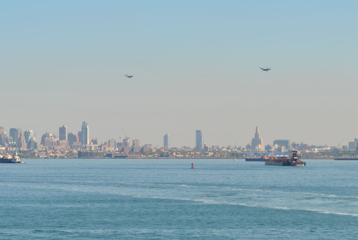 Are those seagulls or planes?