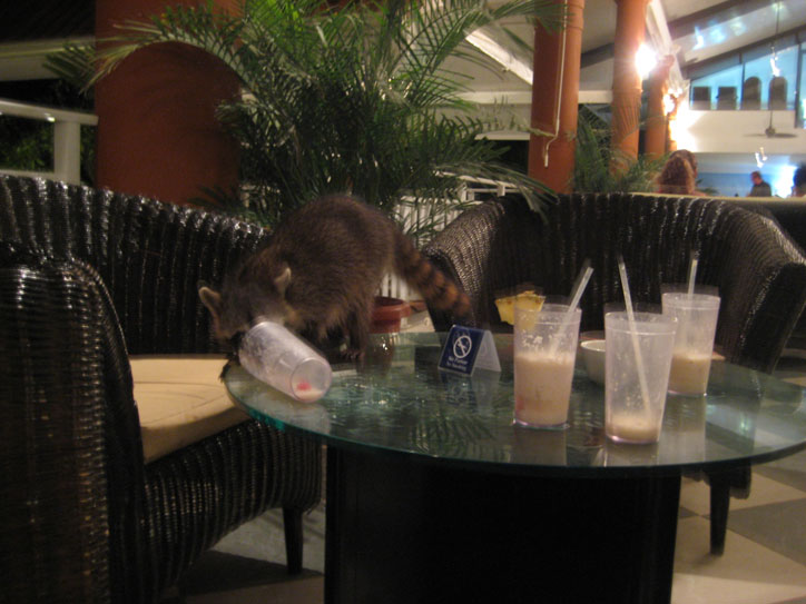 Slurp, slurp, slurp, don't mind me... Slurp, slurp, slurp, don't mind me...