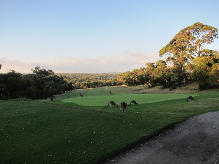 Sundowners by the green