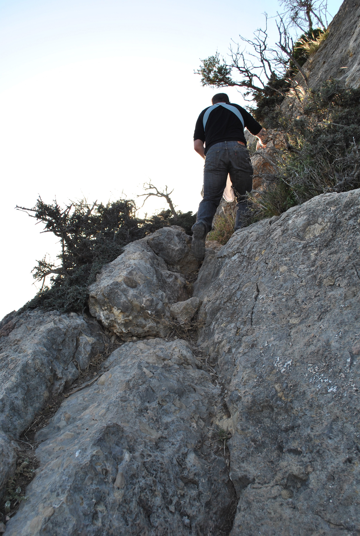 There were a couple of precarious parts towards the top. But nothing team Papi & Small paw couldn't handle.