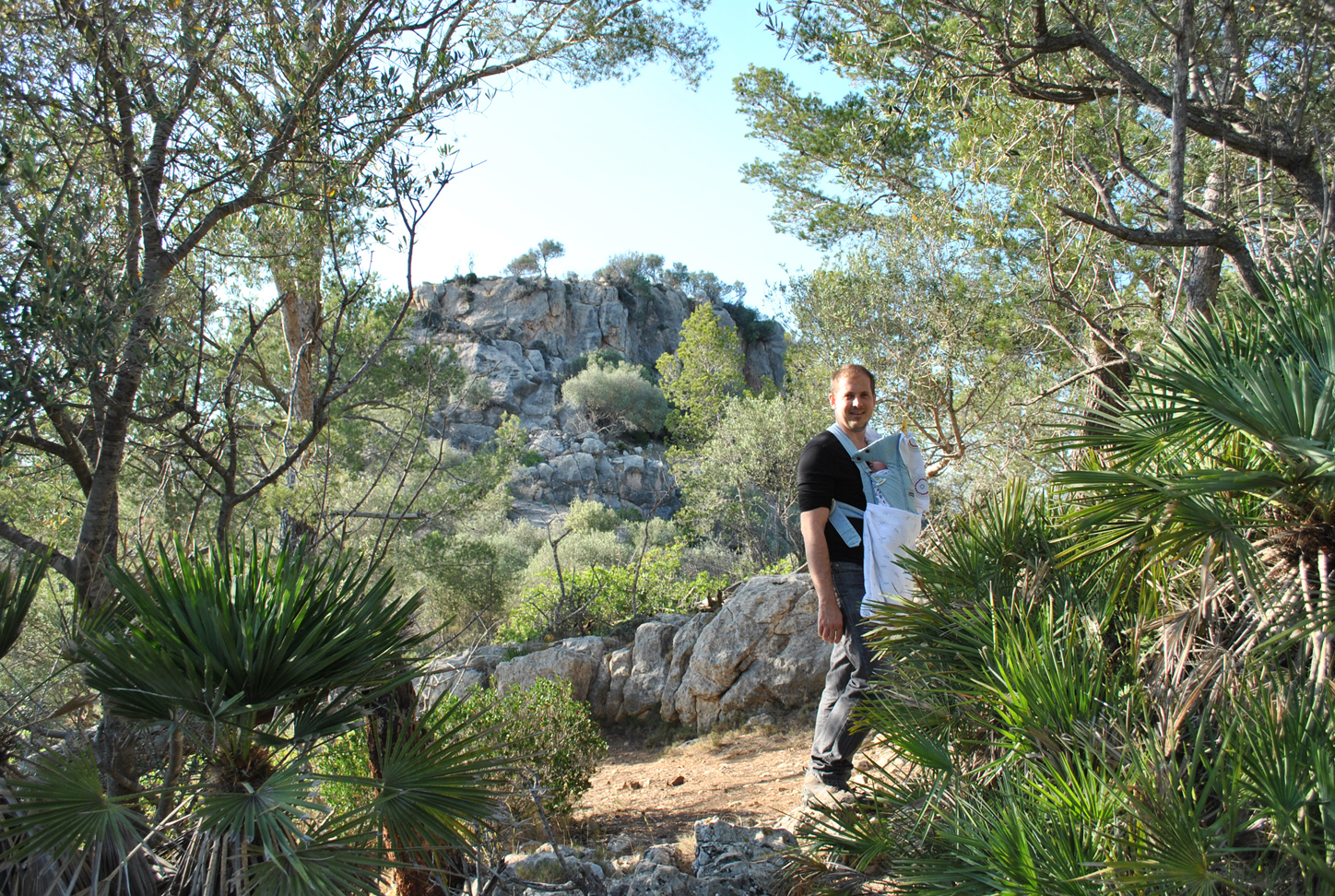 Almost at the top. Notice the little palm trees on the side. You rarely see these in the wild here.