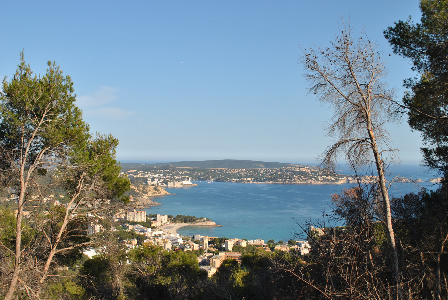 Half-way up to the top. Paguera slowly reveals itself.