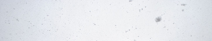 Camara is broken, it's white all over.