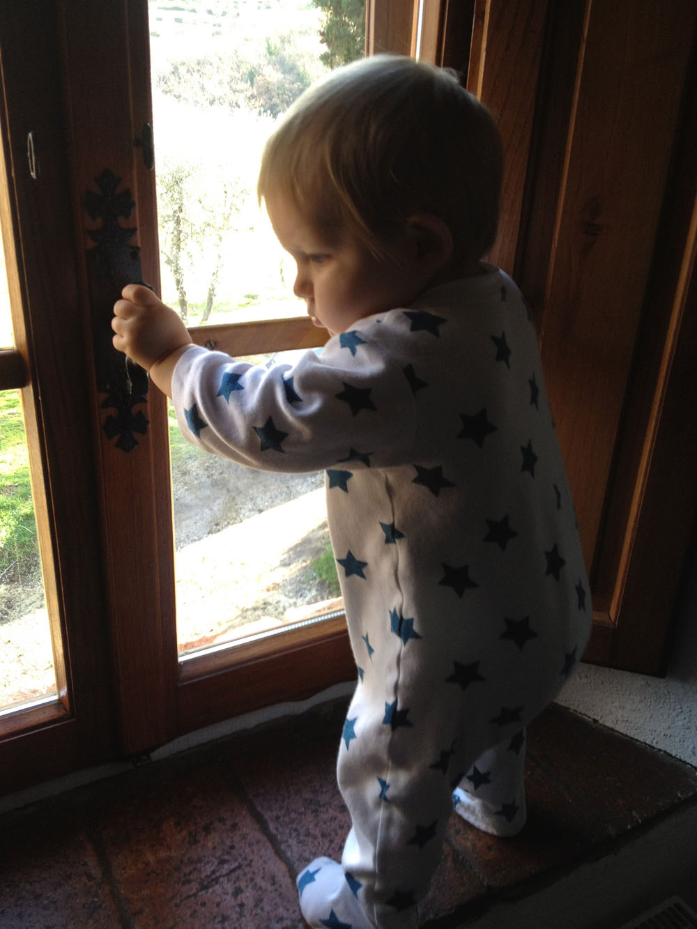Checking on the neighbours.