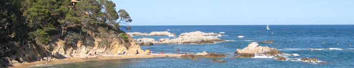 Summer Summer