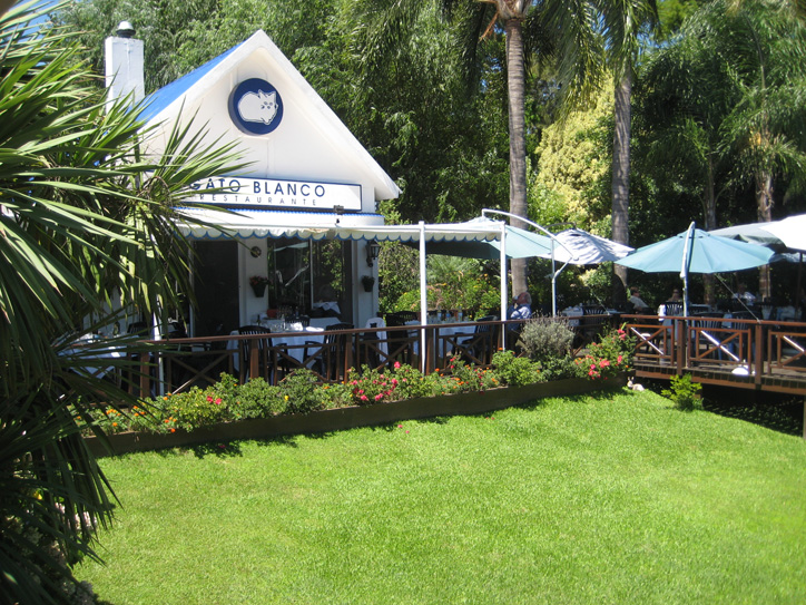 I recommend the palmito starter and rib-eye steak
