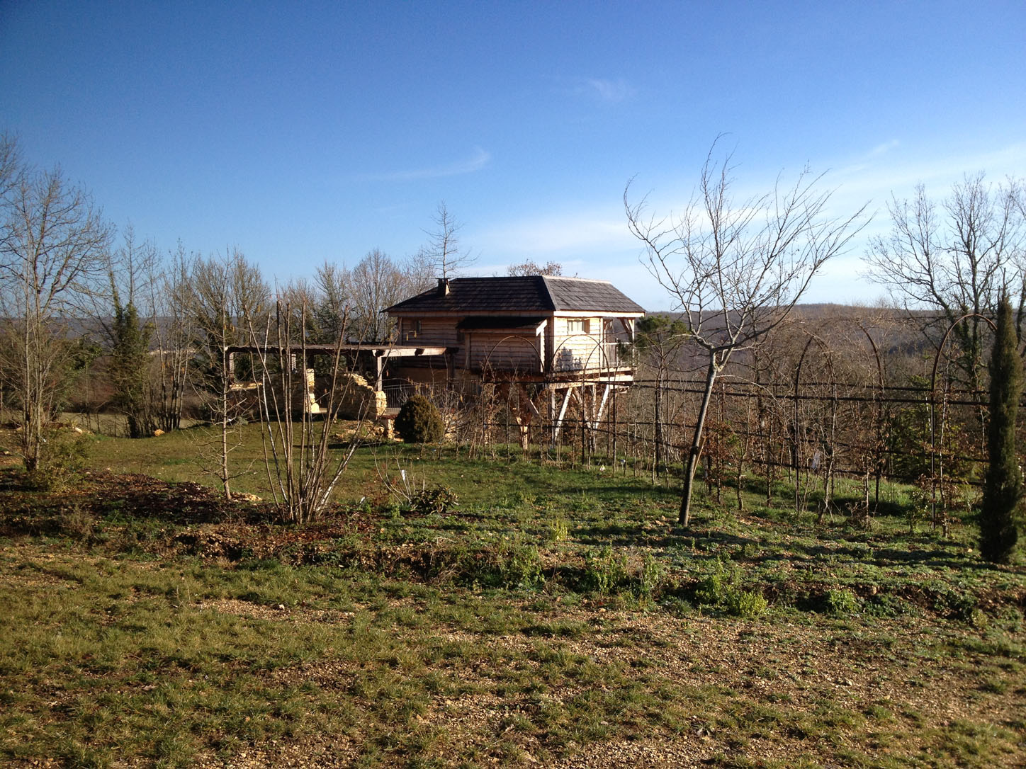 The "treehouse"