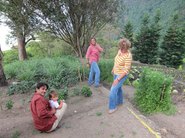 Lettuce, herbs, peppers, lemongrass or niece, anyone?