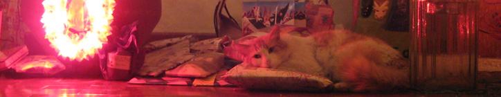 Catire keeping our presents warm for us. Catire keeping our presents warm for us.